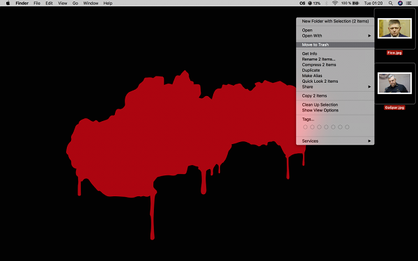 Monika Voláková - Move To Trash 