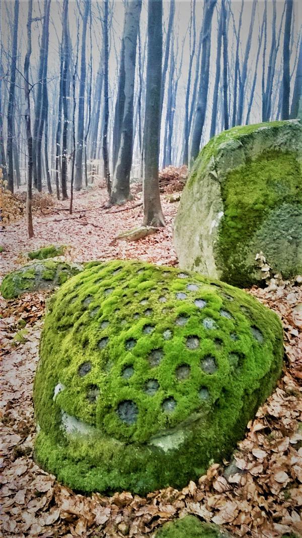 Jaroslav Beliš - FICO ID  PARANOID  ANDROID 