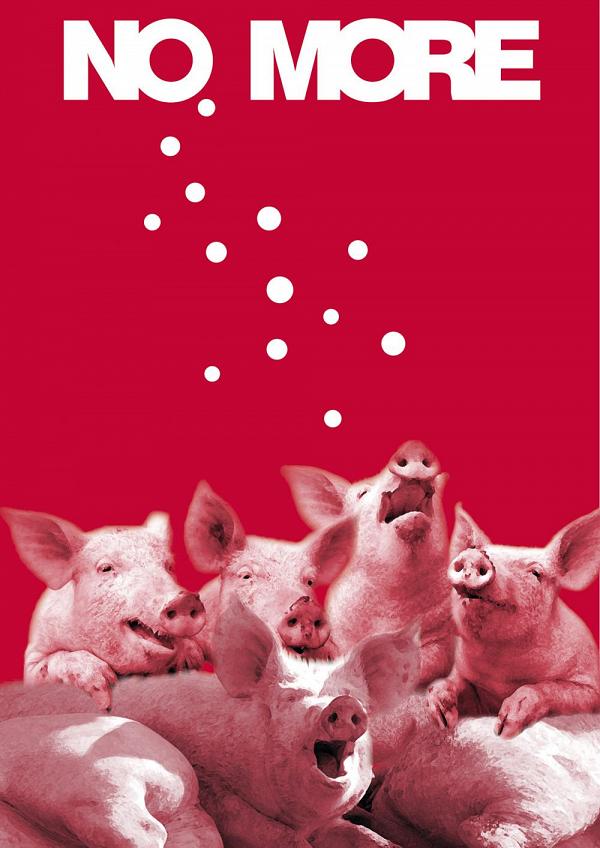 bruno musil - no more 