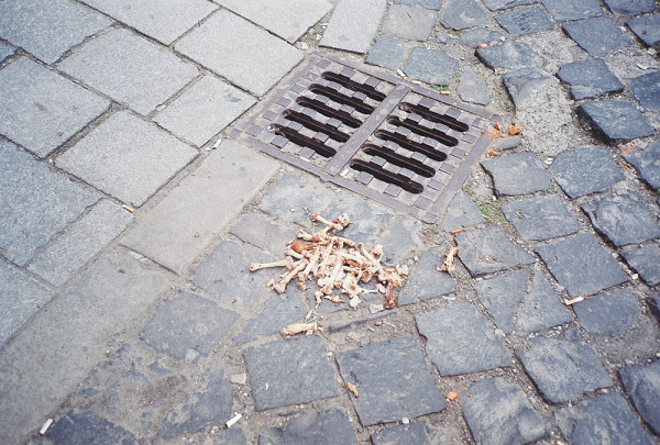 Vladimíra Hradecká 